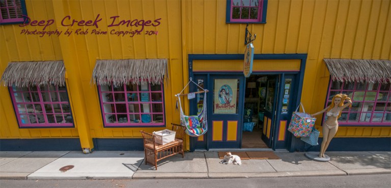 dog day afternoon in cape may