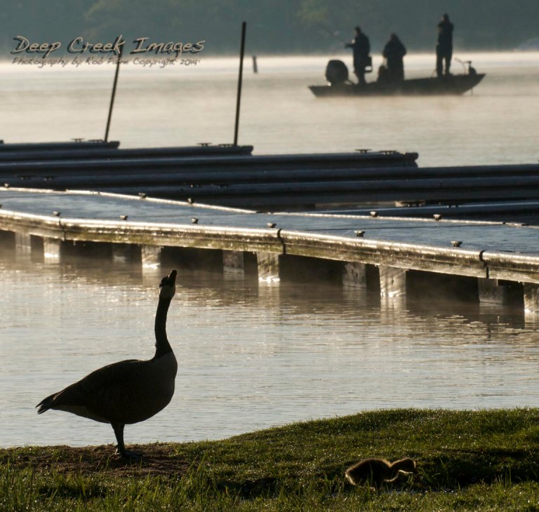 early AM family time Rob Paine