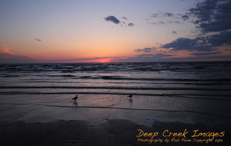 paine sunset  del bay