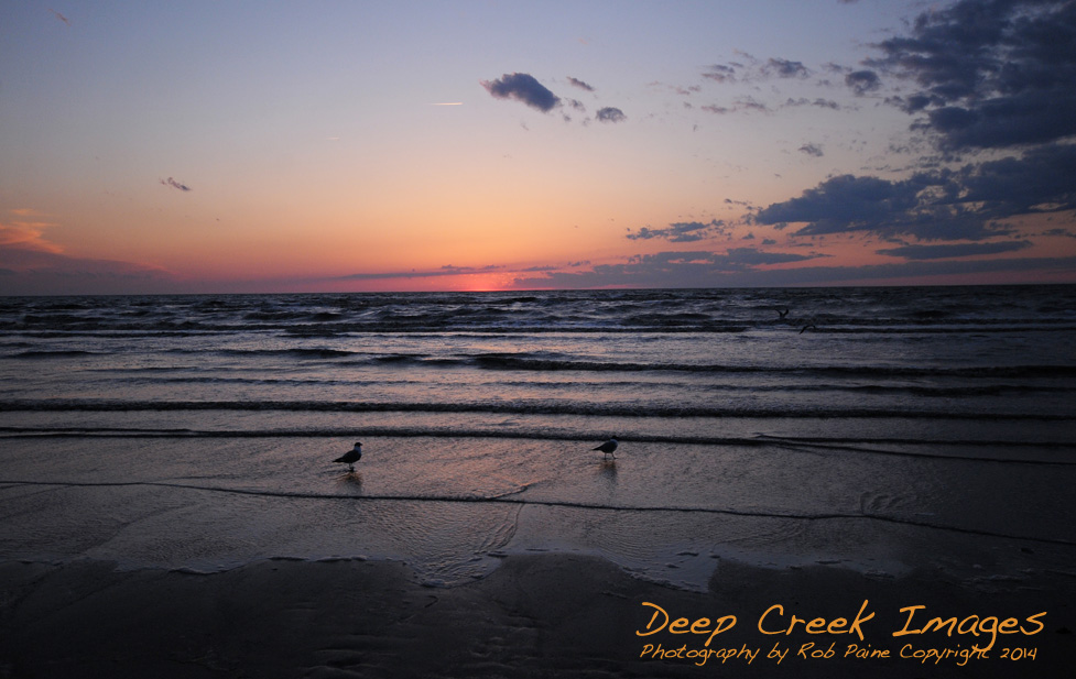 paine sunset  del bay