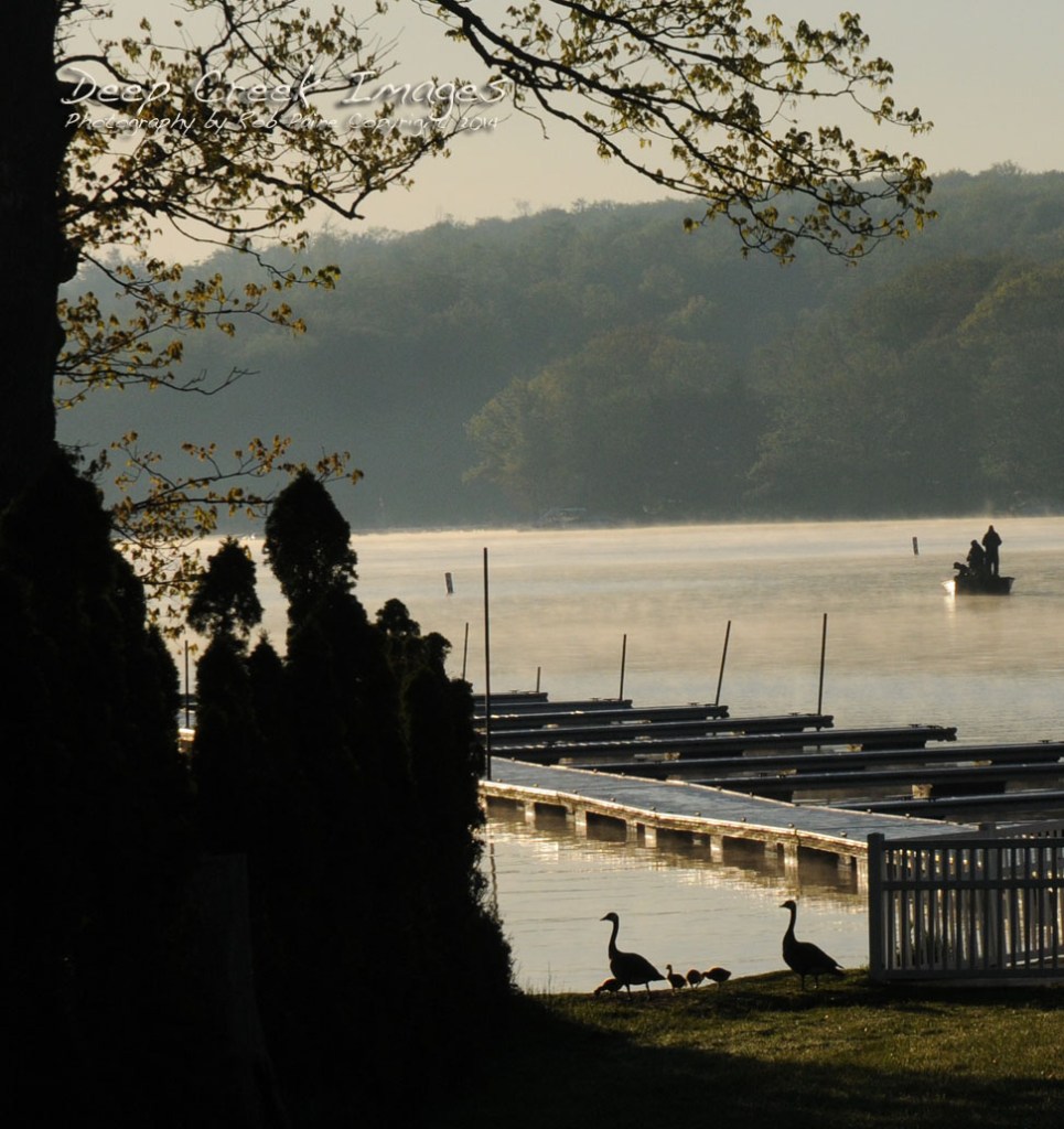 rob paine early morning famil