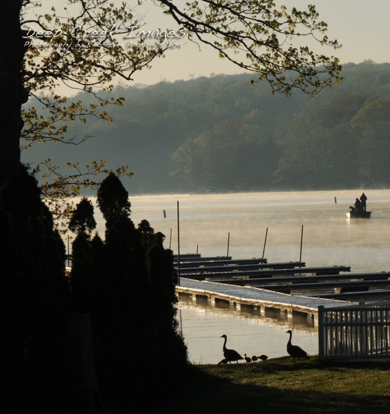 rob paine early morning famil