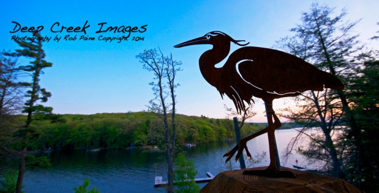 discovery center two