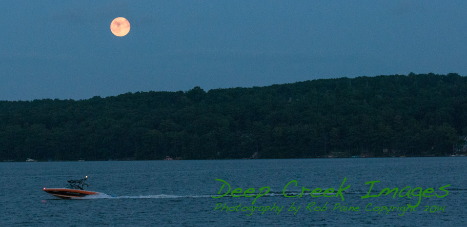 rob paine big moon and boater dcl