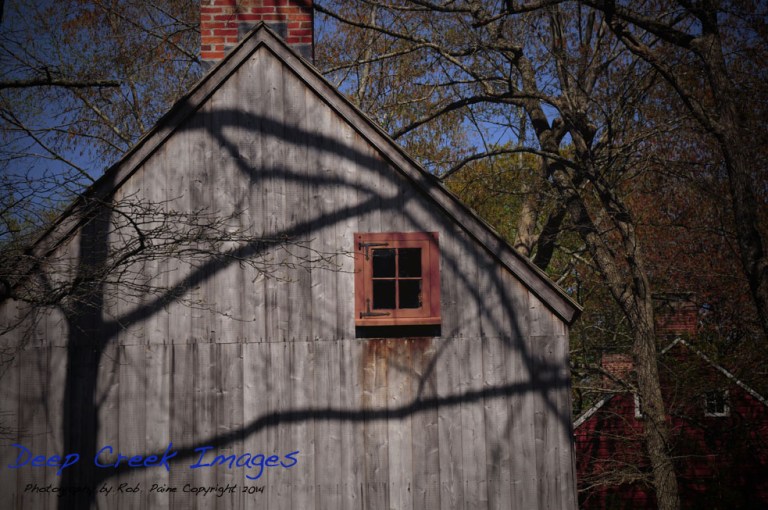 rob paine cold spring village nj