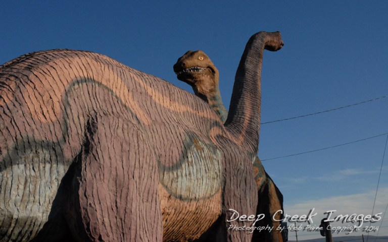 rob paine dino land four