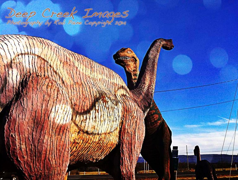 rob paine dino land one