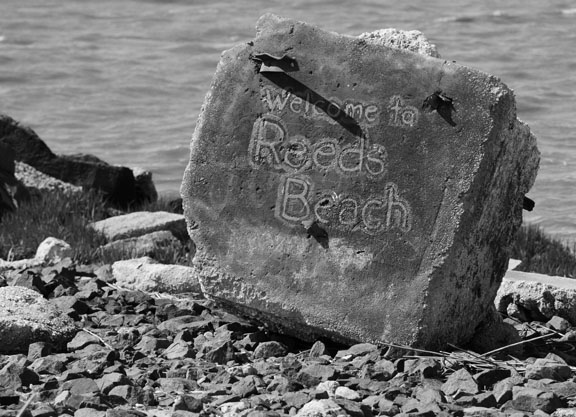 rob paine cape may nj