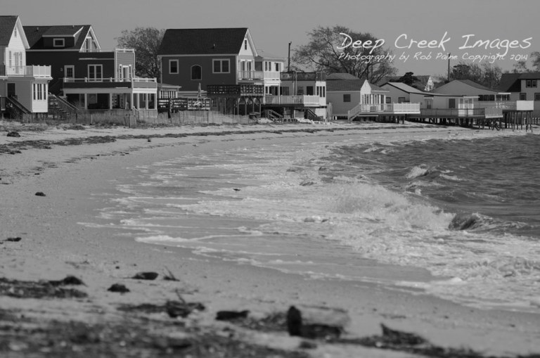 rob paine reed beach four