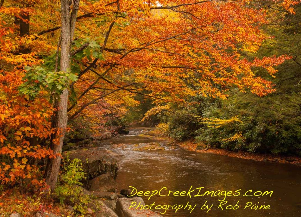Photo by Rob Paine/ Deep Creek Images- Copyright 2014