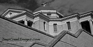 Oakland Courthouse Rob Paine