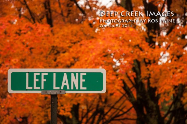 Photo by Rob Paine/Deep Creek Images/Copyright 2014