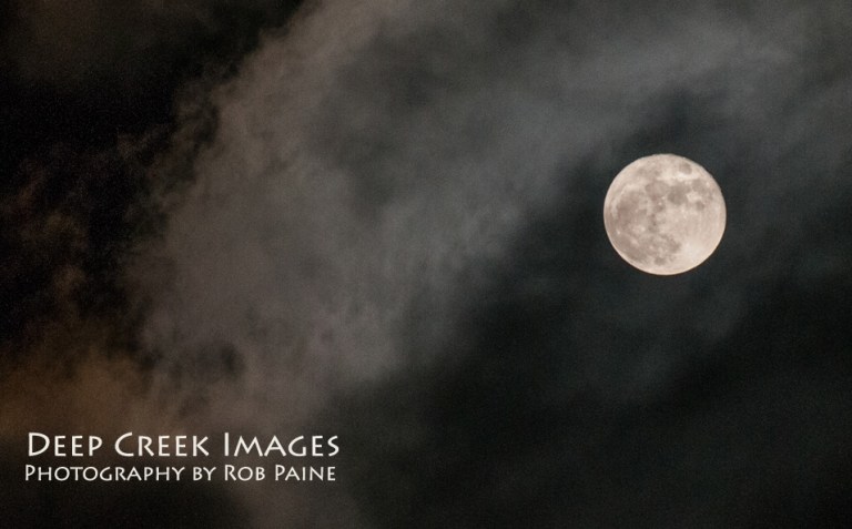 Photo by Rob Paine Copyright 2014