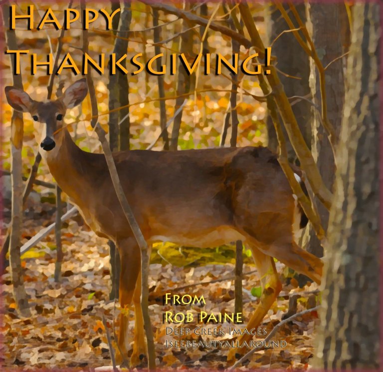 Photo by Rob Paine/Copyright 2014