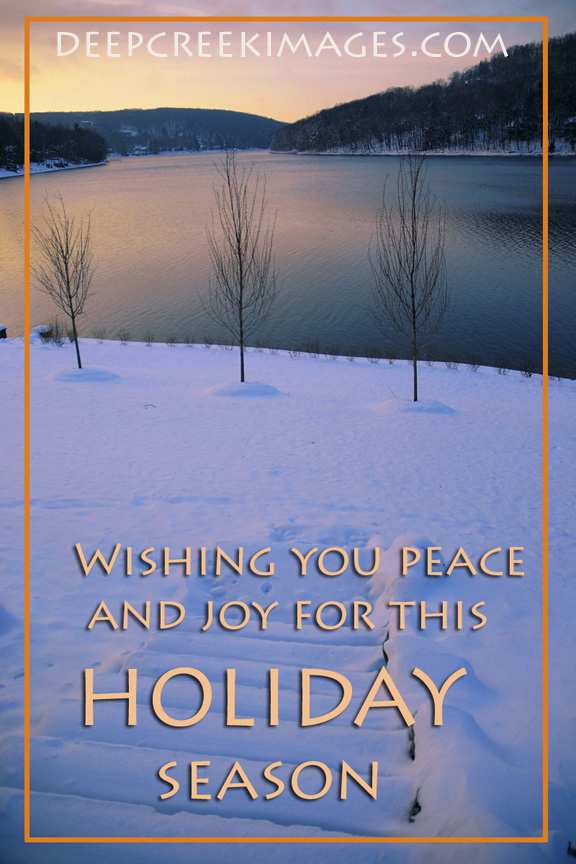 Photo and Design by Rob Paine/Copyright 2014