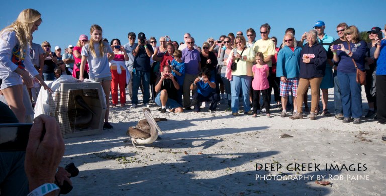 Photo by Rob Paine/Copyright 2014