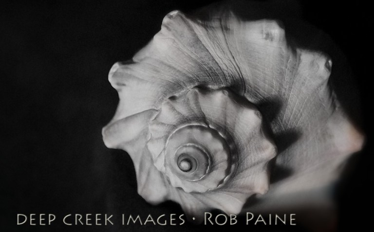 Photo by Rob Paine/Copyright 2014