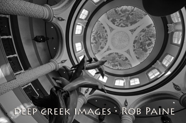 Photo by Rob Paine/Copyright 2014