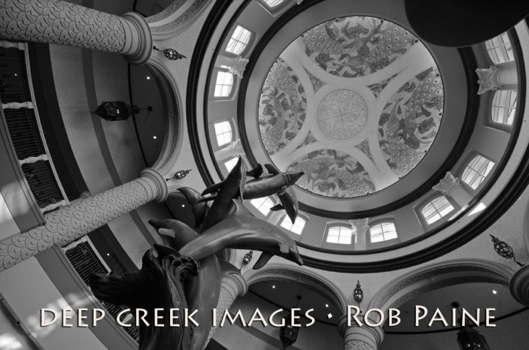 Photo by Rob Paine/Copyright 2014