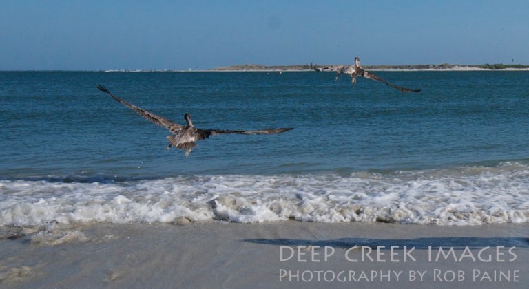 Photo by Rob Paine/Copyright 2014