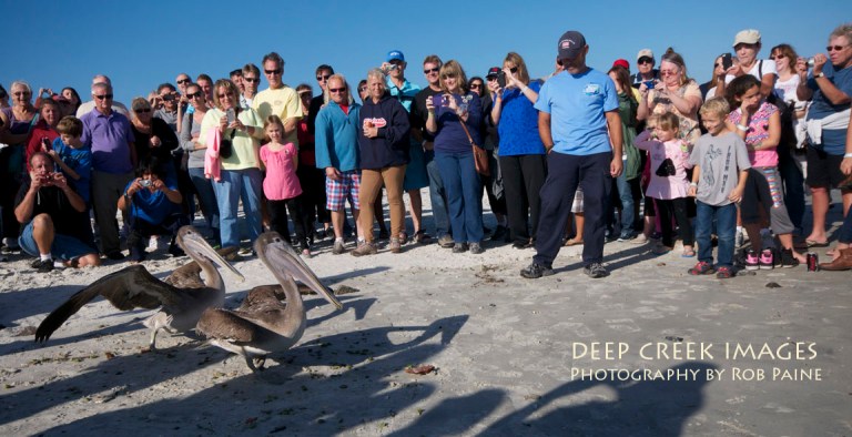 Photo by Rob Paine/Copyright 2014