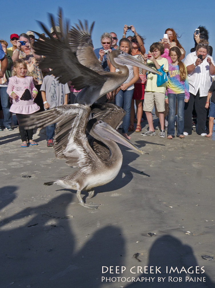 Photo by Rob Paine/Copyright 2014