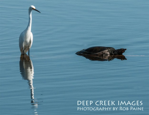Photo by Rob Paine/Copyright 2014