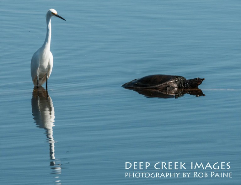 Photo by Rob Paine/Copyright 2014