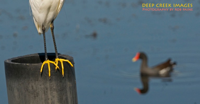 Photo by Rob Paine/Copyright 2014