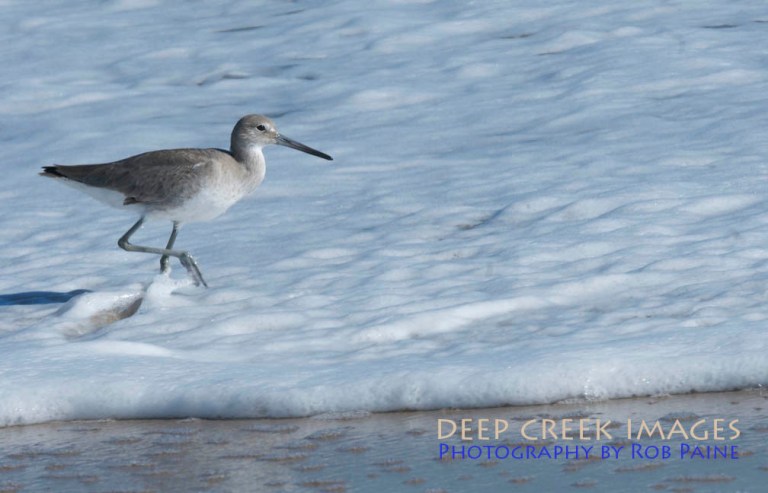 Photo by Rob Paine/Copyright 2014