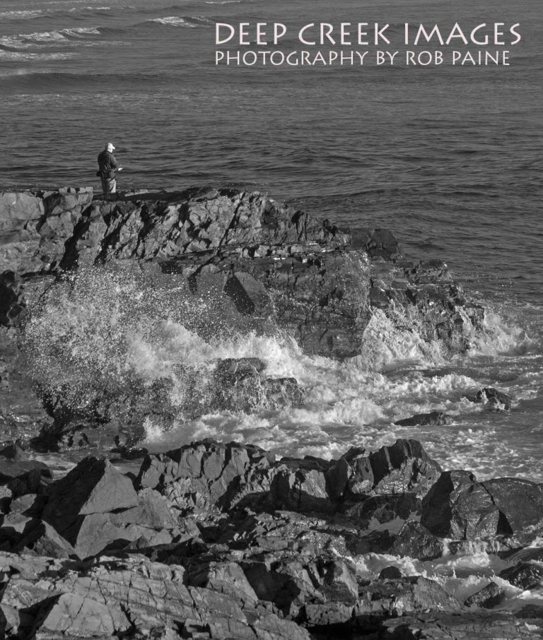 Photo by Rob Paine/Copyright 2015