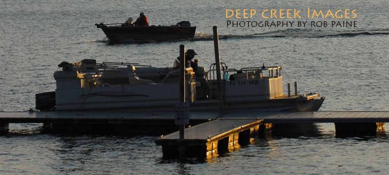 Photo by Rob Paine/Copyright 2015