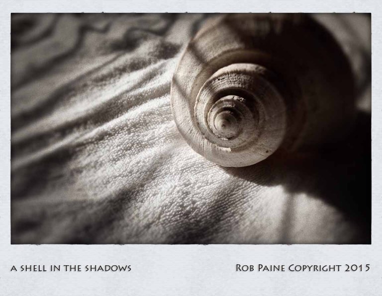 rob paine shell in the shadows