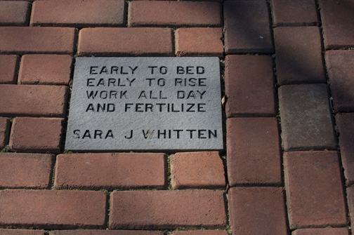 One of the engraves stones on the side walk at Lewis Ginter Botanical Garden.