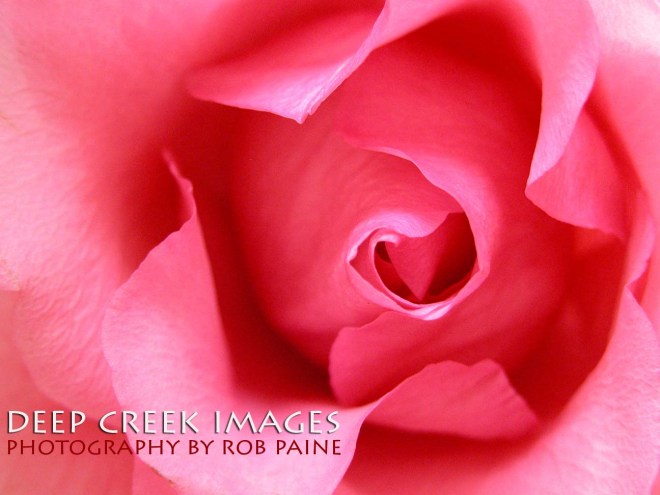 Photo by Rob Paine/Deep Creek Images/Copyright 2015