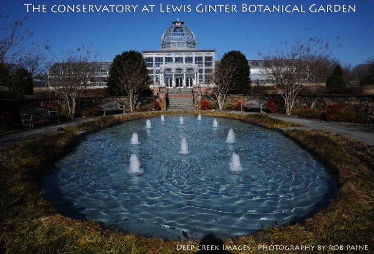 Photo by Rob Paine/Deep Creek Images/Copyright 2015