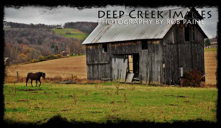 Photo by Rob Paine/Deep Creek Images/Copyright 2015