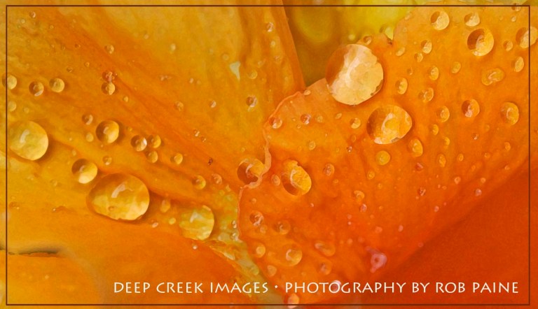 Photo by Rob Paine/Deep Creek Images/Copyright 2015