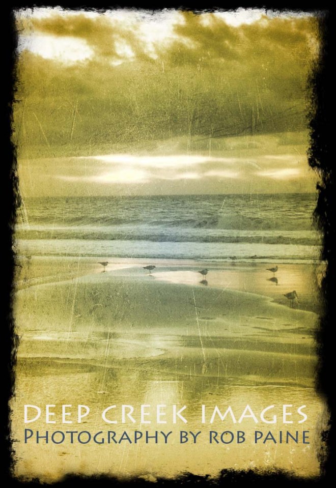 Photo by Rob Paine/Deep Creek Images/Copyright 2015