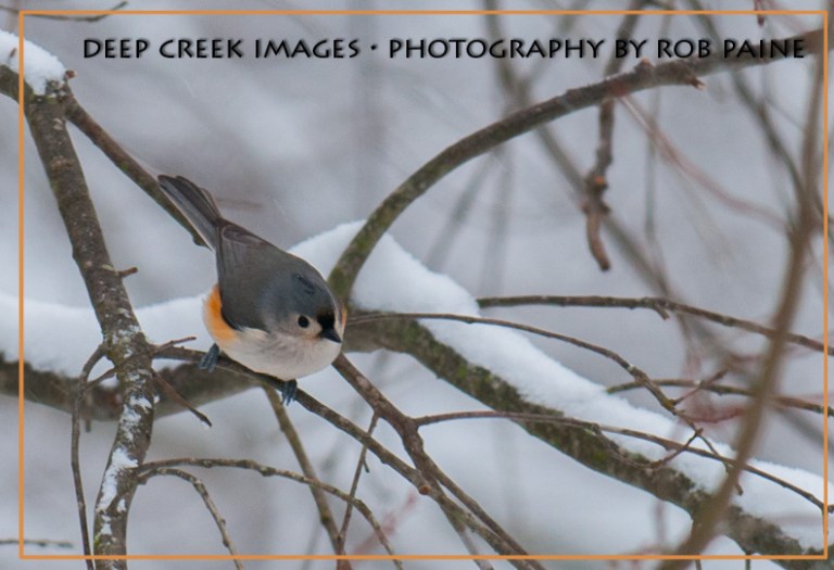 Photo by Rob Paine/Copyright 2015