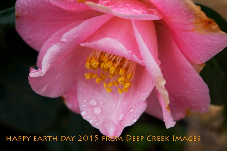 Photo by Rob Paine/Copyright 2025 Deep Creek Images