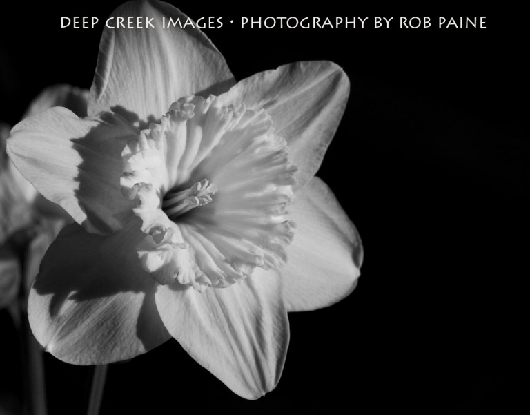 Photo by Rob Paine/Deep Creek Images/Copyright 2015