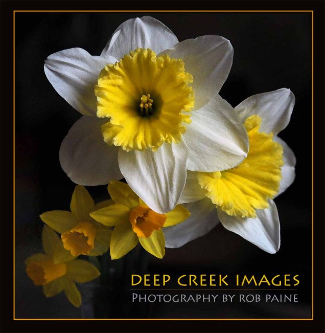 Photo by Rob Paine/Deep Creek Images/Copyright 2015