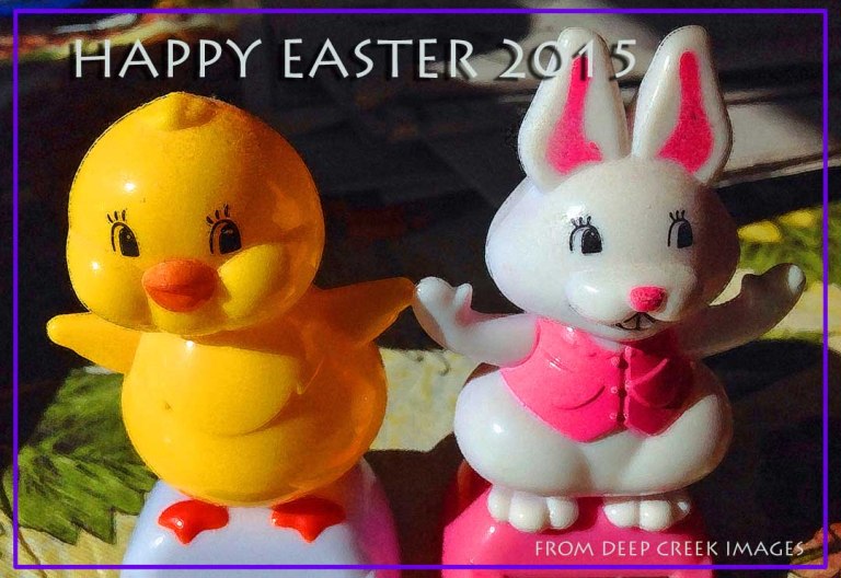  Photo by Rob Paine/Deep Creek Images/Copyright 2015