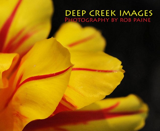 Photo by Rob Paine/Deep Creek Images/Copyright 2015