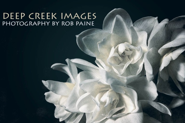   Photo by Rob Paine/Deep Creek Images/Copyright 2015