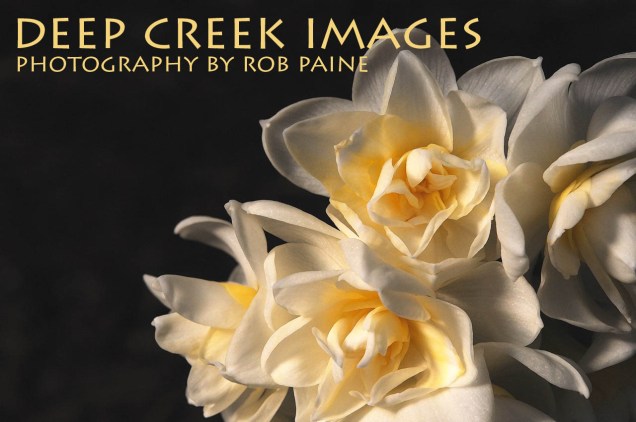  Photo by Rob Paine/Deep Creek Images/Copyright 2015