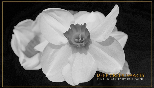 Photo by Rob Paine/Deep Creek Images/Copyright 2015