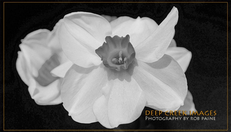 Photo by Rob Paine/Deep Creek Images/Copyright 2015