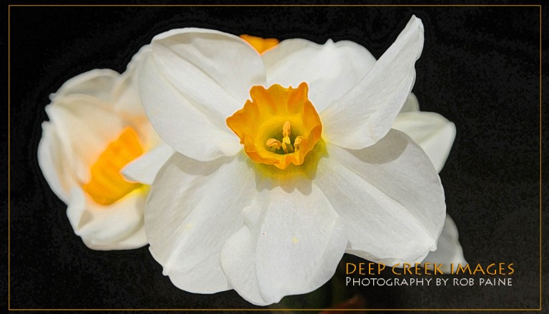 Photo by Rob Paine/Deep Creek Images/Copyright 2015